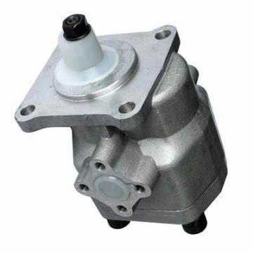 Pompe Hydraulique pour Hürlimann H-6130, Einfachpumpe, Gaucher, (16 cm³)