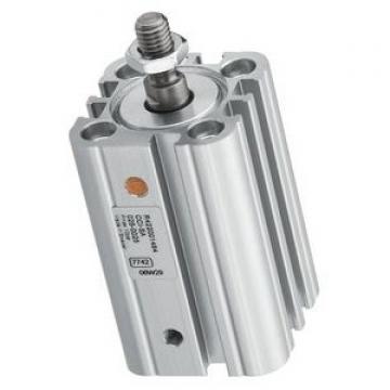 vérin pneumatique REXROTH Bosch 0822010624 air comprimé  ( VT175 )