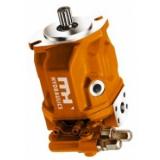 one A10VSO28DFR1/31R-PPA12N00 NEW REXROTH PUMP Fast Shipping  