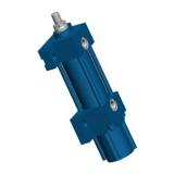 Rexroth Bosch 0822061001 Vérin de Guidage